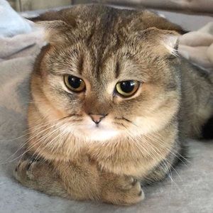 Meet your Posher, Gabby